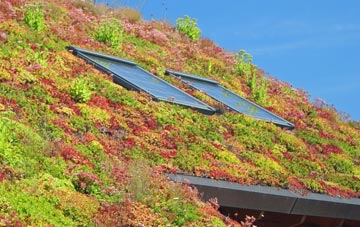 Gabhsann Bho Thuath living roof systems